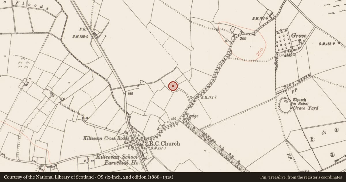 Ordnance Survey six-inch map, 2nd edition (1888–1915) covering the location of Ringfort - rath, Cloonmurly, County Roscommon, with a pin at the register's coordinates