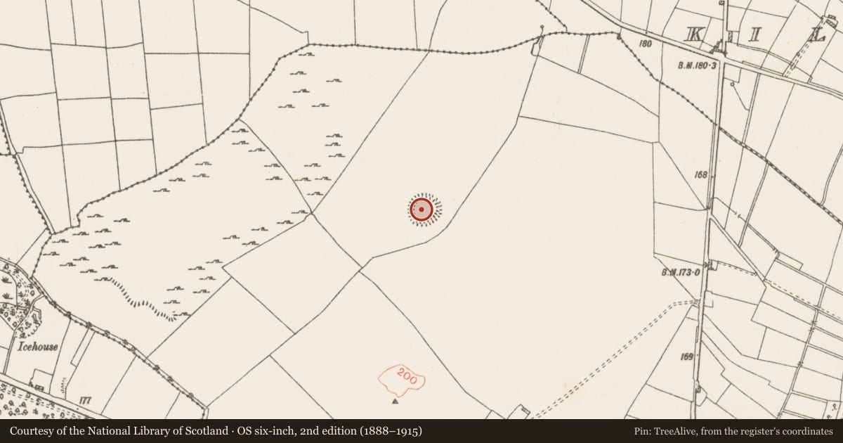 Ordnance Survey six-inch map, 2nd edition (1888–1915) covering the location of Ringfort - rath, Carrowmore, County Roscommon, with a pin at the register's coordinates