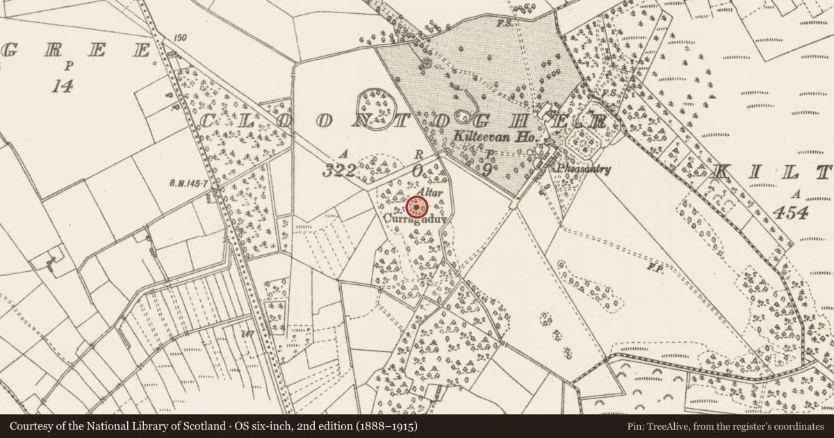 Ordnance Survey six-inch map, 2nd edition (1888–1915) covering the location of Ringfort - rath, Cloontogher, County Roscommon, with a pin at the register's coordinates