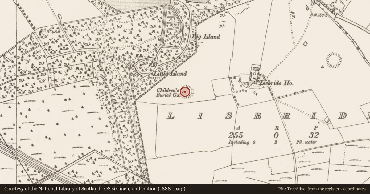 Ordnance Survey six-inch map, 2nd edition (1888–1915) covering the location of Ringfort - rath, Lisbride, County Roscommon, with a pin at the register's coordinates