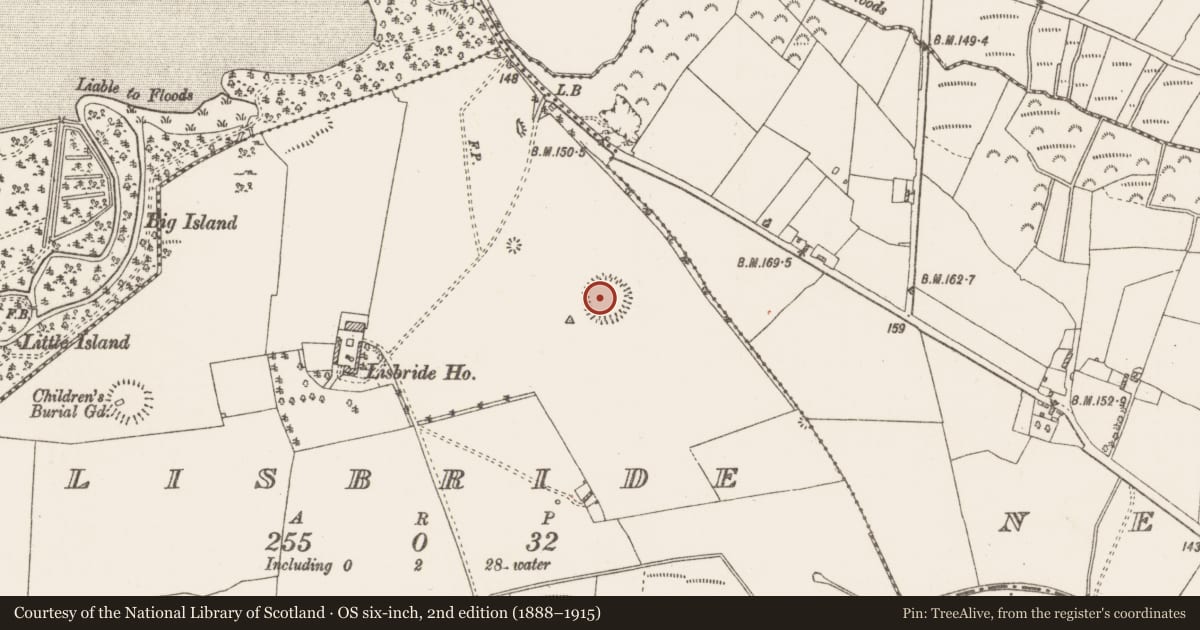 Ordnance Survey six-inch map, 2nd edition (1888–1915) covering the location of Ringfort - rath, Lisbride, County Roscommon, with a pin at the register's coordinates