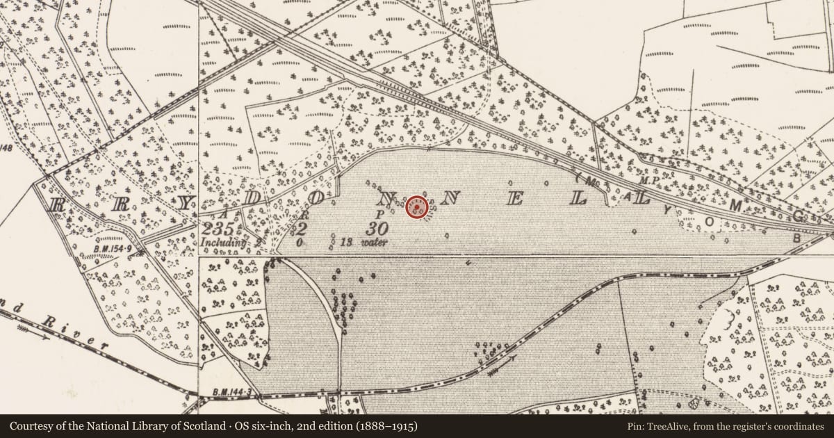 Ordnance Survey six-inch map, 2nd edition (1888–1915) covering the location of Ringfort - rath, Derrydonnell, County Roscommon, with a pin at the register's coordinates
