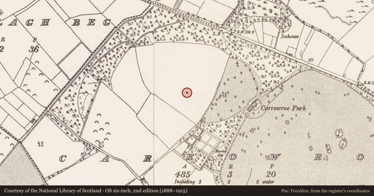 Ordnance Survey six-inch map, 2nd edition (1888–1915) covering the location of House - 16th/17th century, Carrowroe, County Roscommon, with a pin at the register's coordinates