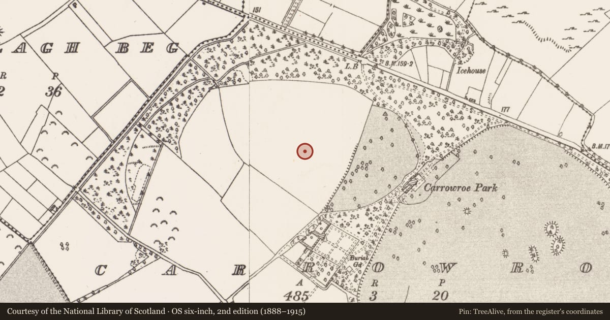 Ordnance Survey six-inch map, 2nd edition (1888–1915) covering the location of House - 16th/17th century, Carrowroe, County Roscommon, with a pin at the register's coordinates