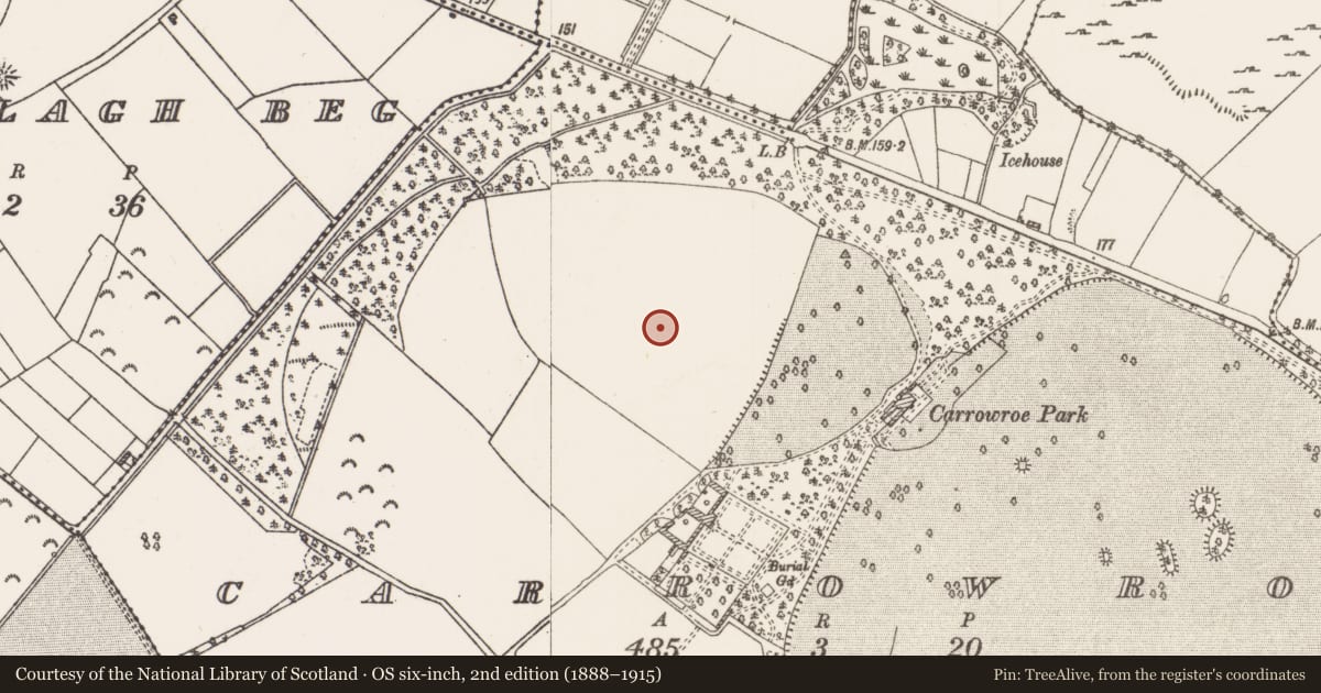 Ordnance Survey six-inch map, 2nd edition (1888–1915) covering the location of House - 16th/17th century, Carrowroe, County Roscommon, with a pin at the register's coordinates