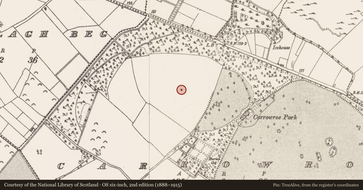 Ordnance Survey six-inch map, 2nd edition (1888–1915) covering the location of House - 16th/17th century, Carrowroe, County Roscommon, with a pin at the register's coordinates