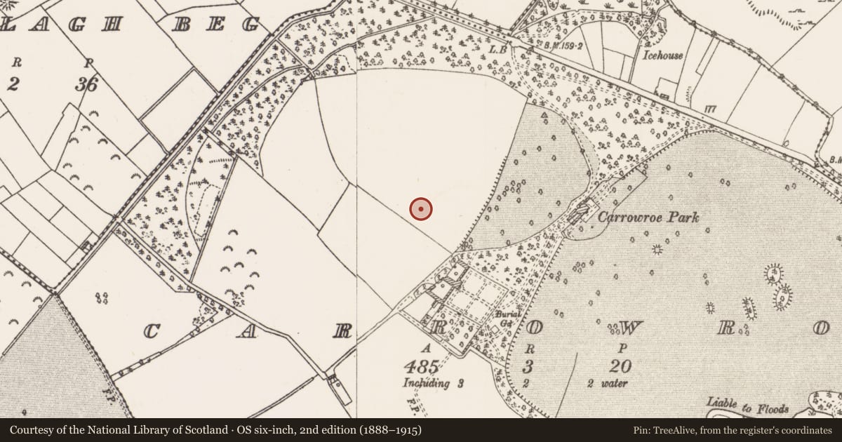 Ordnance Survey six-inch map, 2nd edition (1888–1915) covering the location of House - 16th/17th century, Carrowroe, County Roscommon, with a pin at the register's coordinates