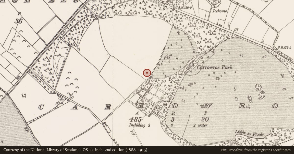 Ordnance Survey six-inch map, 2nd edition (1888–1915) covering the location of House - 16th/17th century, Carrowroe, County Roscommon, with a pin at the register's coordinates