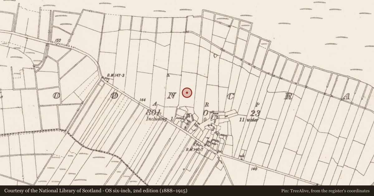 Ordnance Survey six-inch map, 2nd edition (1888–1915) covering the location of Children's burial ground, Clooncraff, County Roscommon, with a pin at the register's coordinates