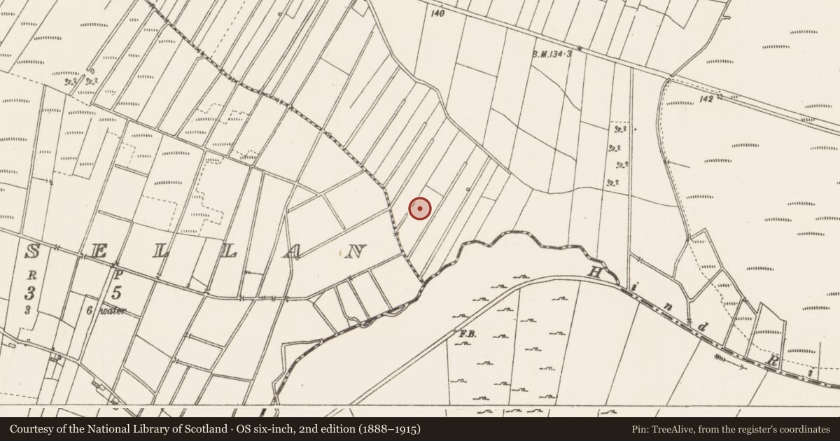 Ordnance Survey six-inch map, 2nd edition (1888–1915) covering the location of Earthwork, Clooncraff, County Roscommon, with a pin at the register's coordinates