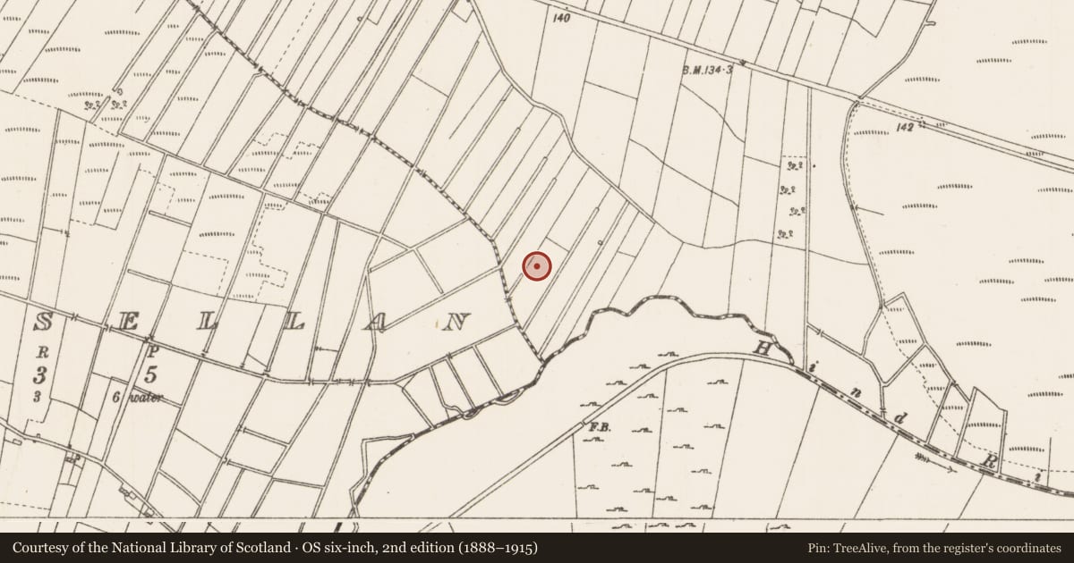 Ordnance Survey six-inch map, 2nd edition (1888–1915) covering the location of Burial, Clooncraff, County Roscommon, with a pin at the register's coordinates