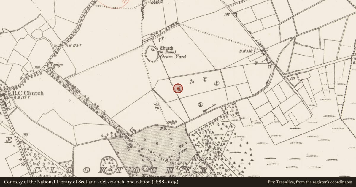 Ordnance Survey six-inch map, 2nd edition (1888–1915) covering the location of Designed landscape - tree-ring, Kilteevan, County Roscommon, with a pin at the register's coordinates