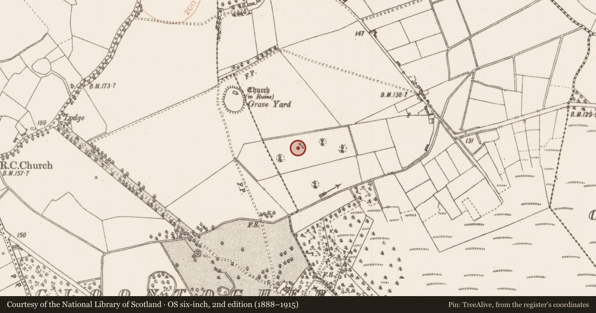 Ordnance Survey six-inch map, 2nd edition (1888–1915) covering the location of Designed landscape feature, Kilteevan, County Roscommon, with a pin at the register's coordinates