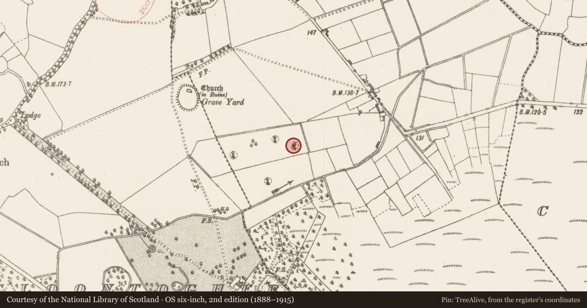 Ordnance Survey six-inch map, 2nd edition (1888–1915) covering the location of Designed landscape feature, Kilteevan, County Roscommon, with a pin at the register's coordinates