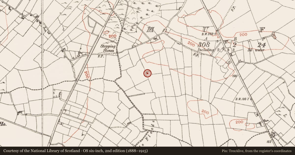 Ordnance Survey six-inch map, 2nd edition (1888–1915) covering the location of Ringfort - rath, Muff, County Roscommon, with a pin at the register's coordinates