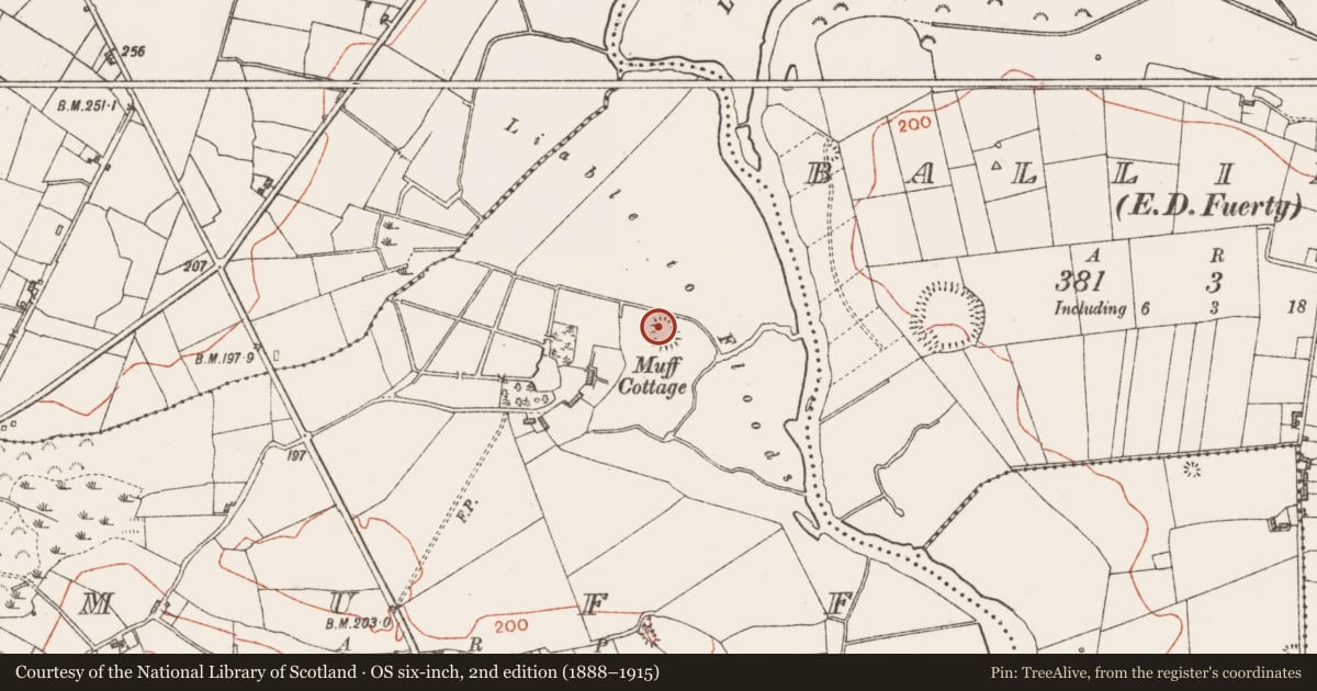 Ordnance Survey six-inch map, 2nd edition (1888–1915) covering the location of Promontory fort - inland, Muff, County Roscommon, with a pin at the register's coordinates