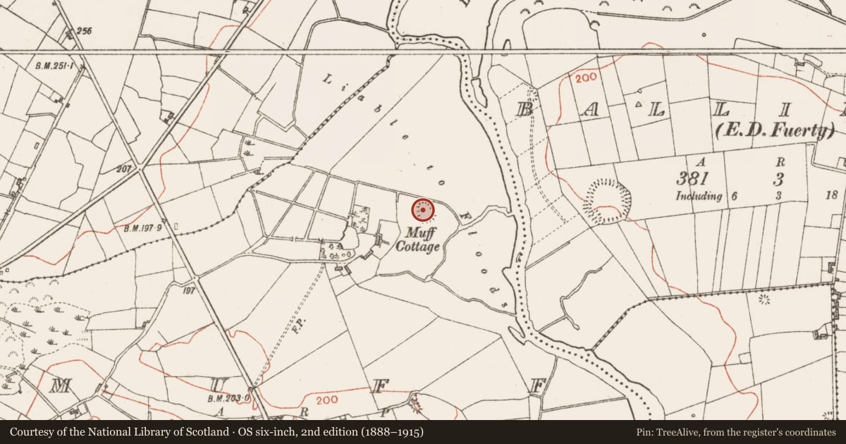 Ordnance Survey six-inch map, 2nd edition (1888–1915) covering the location of Castle - unclassified, Muff, County Roscommon, with a pin at the register's coordinates