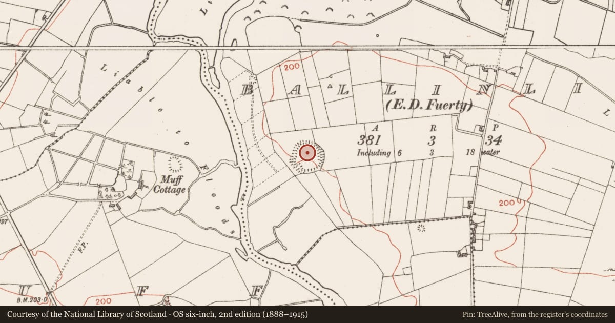 Ordnance Survey six-inch map, 2nd edition (1888–1915) covering the location of Ringfort - rath, Ballinlig, County Roscommon, with a pin at the register's coordinates