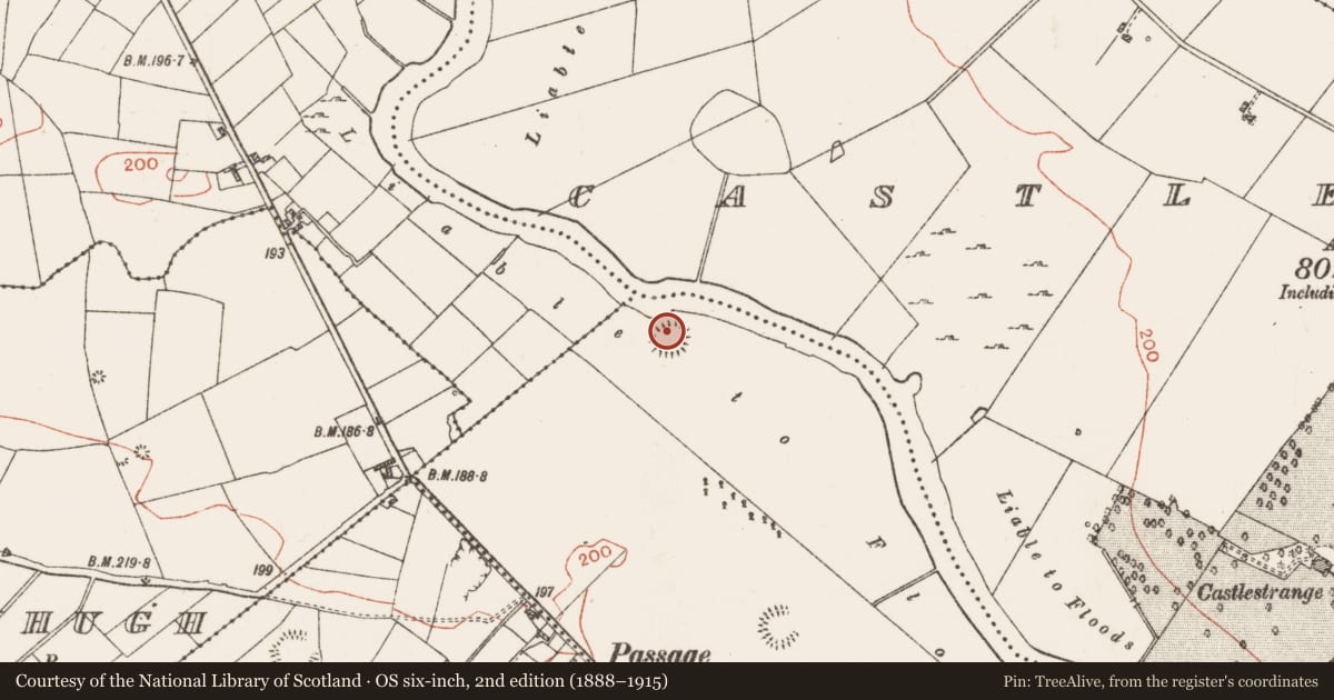 Ordnance Survey six-inch map, 2nd edition (1888–1915) covering the location of Ringfort - rath, Lisnatea, County Roscommon, with a pin at the register's coordinates
