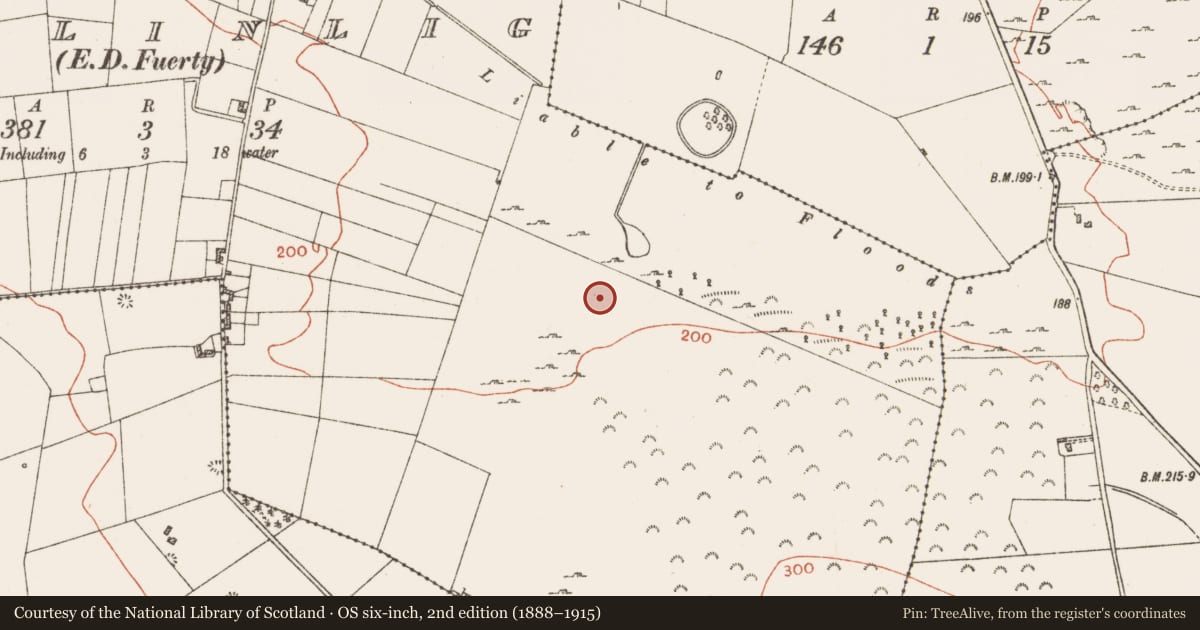 Ordnance Survey six-inch map, 2nd edition (1888–1915) covering the location of Road - road/trackway, Ballinlig, County Roscommon, with a pin at the register's coordinates