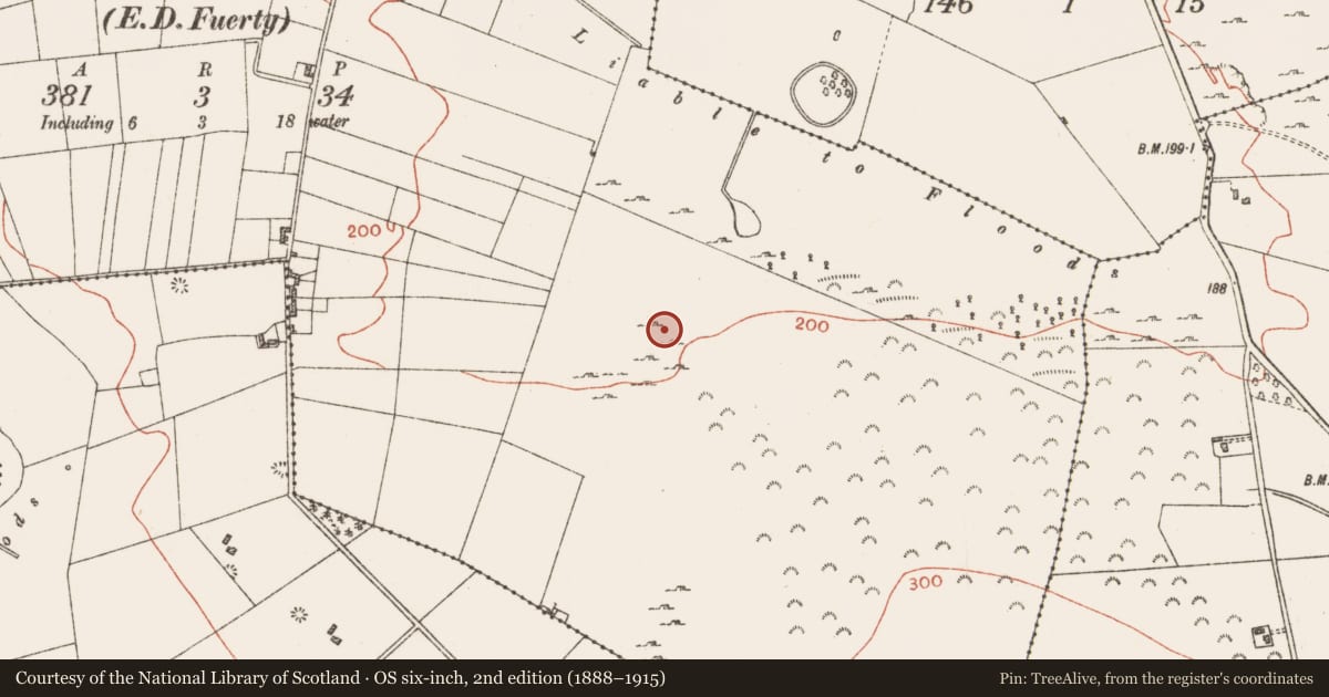 Ordnance Survey six-inch map, 2nd edition (1888–1915) covering the location of Kiln - lime, Ballinlig, County Roscommon, with a pin at the register's coordinates