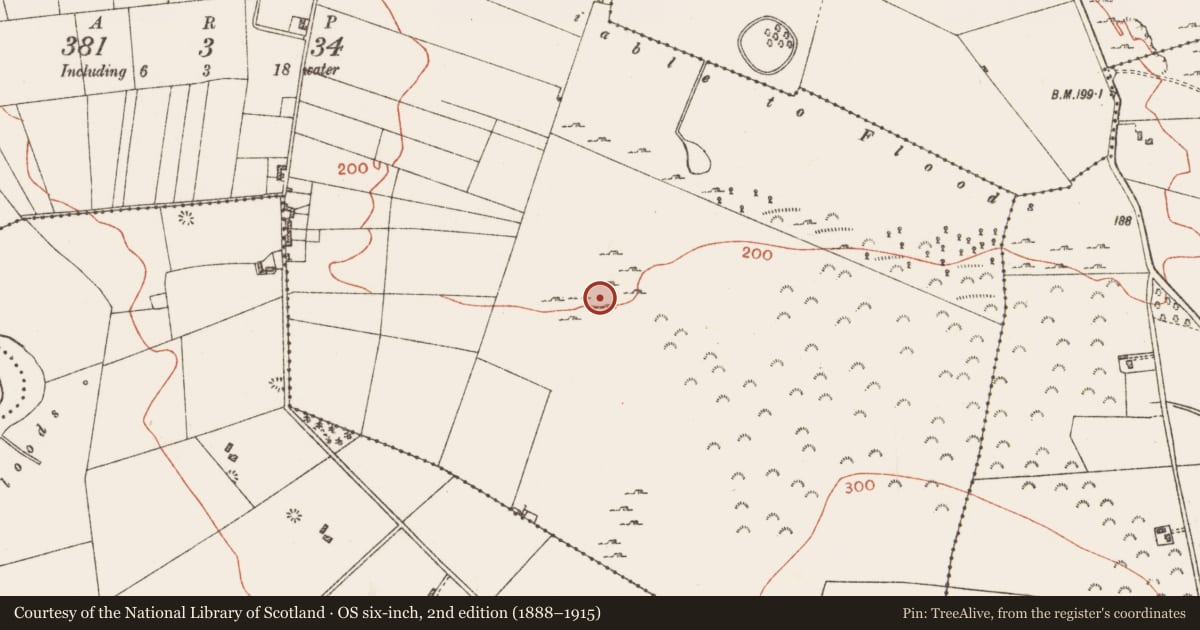 Ordnance Survey six-inch map, 2nd edition (1888–1915) covering the location of Quarry, Ballinlig, County Roscommon, with a pin at the register's coordinates