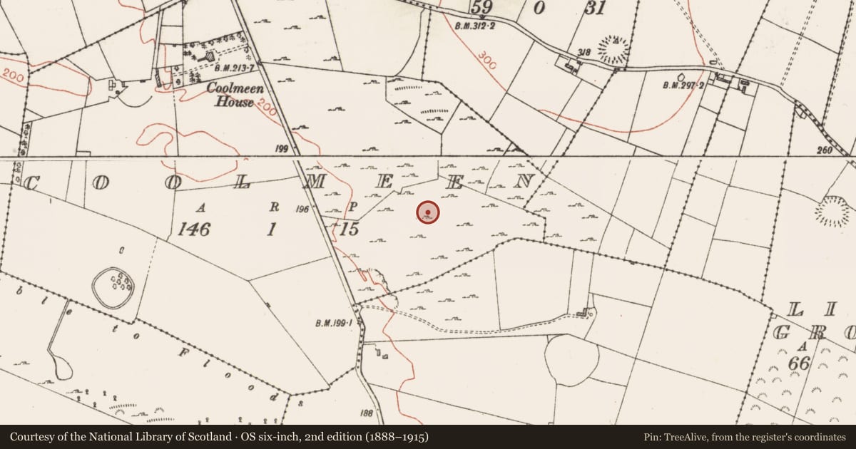 Ordnance Survey six-inch map, 2nd edition (1888–1915) covering the location of Field system, Coolmeen, County Roscommon, with a pin at the register's coordinates