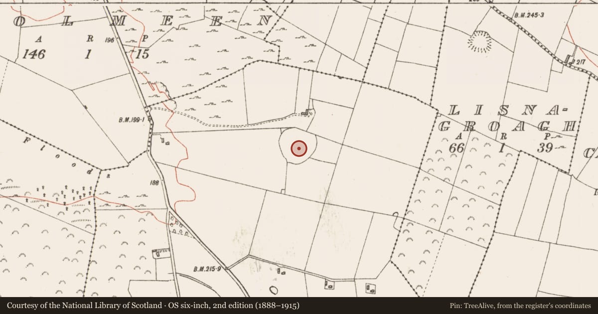 Ordnance Survey six-inch map, 2nd edition (1888–1915) covering the location of Enclosure - large enclosure, Castlestrange, County Roscommon, with a pin at the register's coordinates