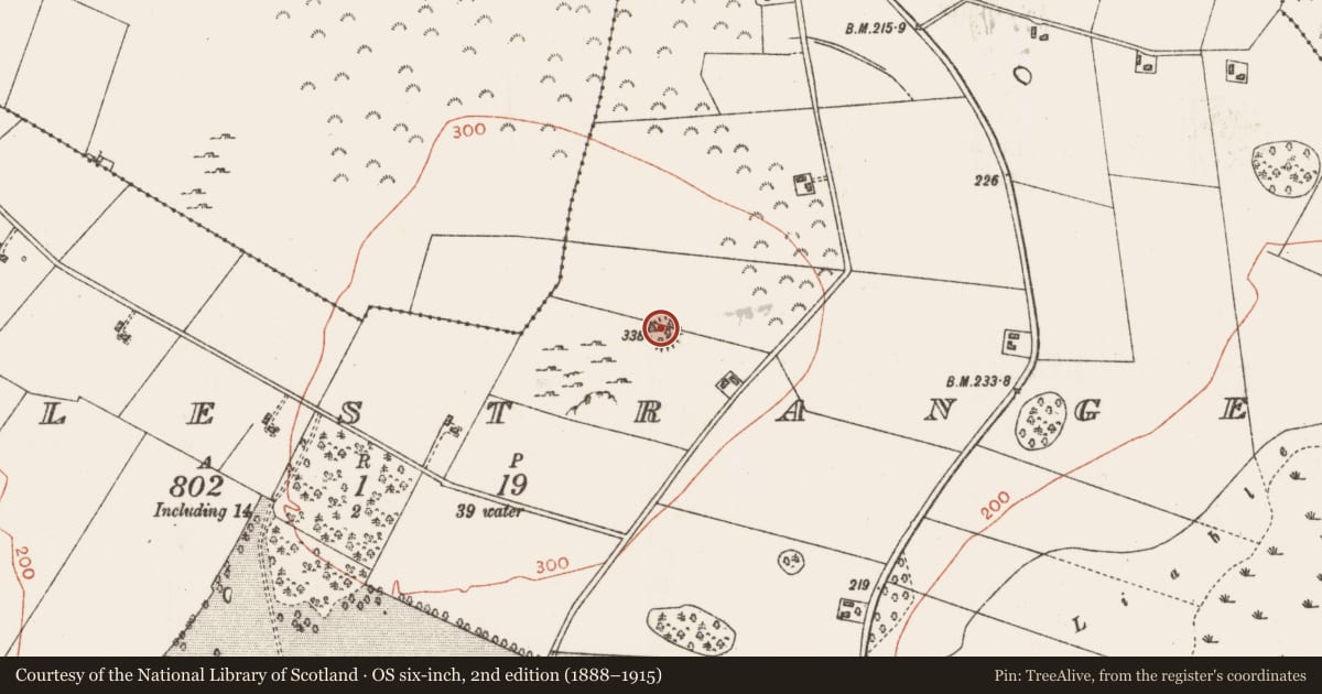 Ordnance Survey six-inch map, 2nd edition (1888–1915) covering the location of Ringfort - rath, Castlestrange, County Roscommon, with a pin at the register's coordinates