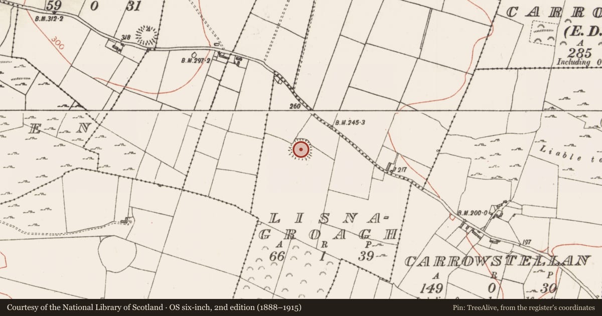 Ordnance Survey six-inch map, 2nd edition (1888–1915) covering the location of Ringfort - rath, Lisnagroagh, County Roscommon, with a pin at the register's coordinates