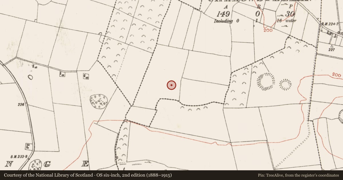 Ordnance Survey six-inch map, 2nd edition (1888–1915) covering the location of Ringfort - rath, Carrowstellan, County Roscommon, with a pin at the register's coordinates