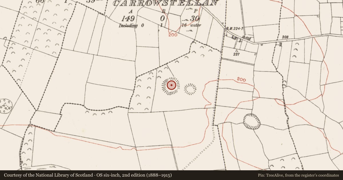 Ordnance Survey six-inch map, 2nd edition (1888–1915) covering the location of Ringfort - rath, Ballinturly, County Roscommon, with a pin at the register's coordinates