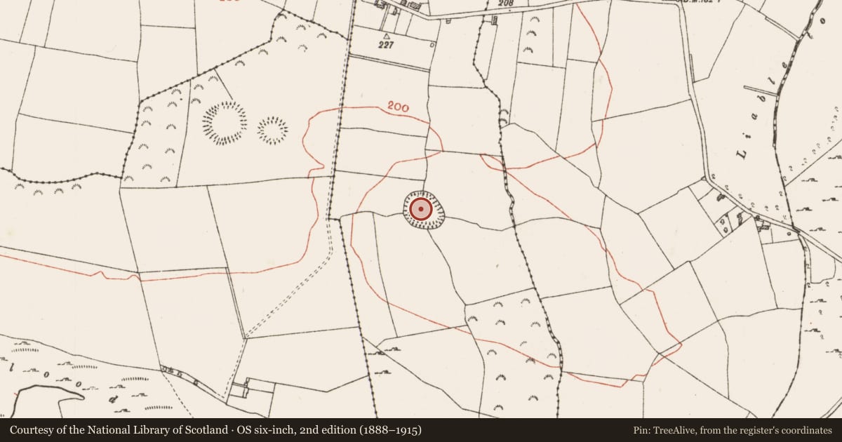 Ordnance Survey six-inch map, 2nd edition (1888–1915) covering the location of Ringfort - rath, Carrowkeel, County Roscommon, with a pin at the register's coordinates