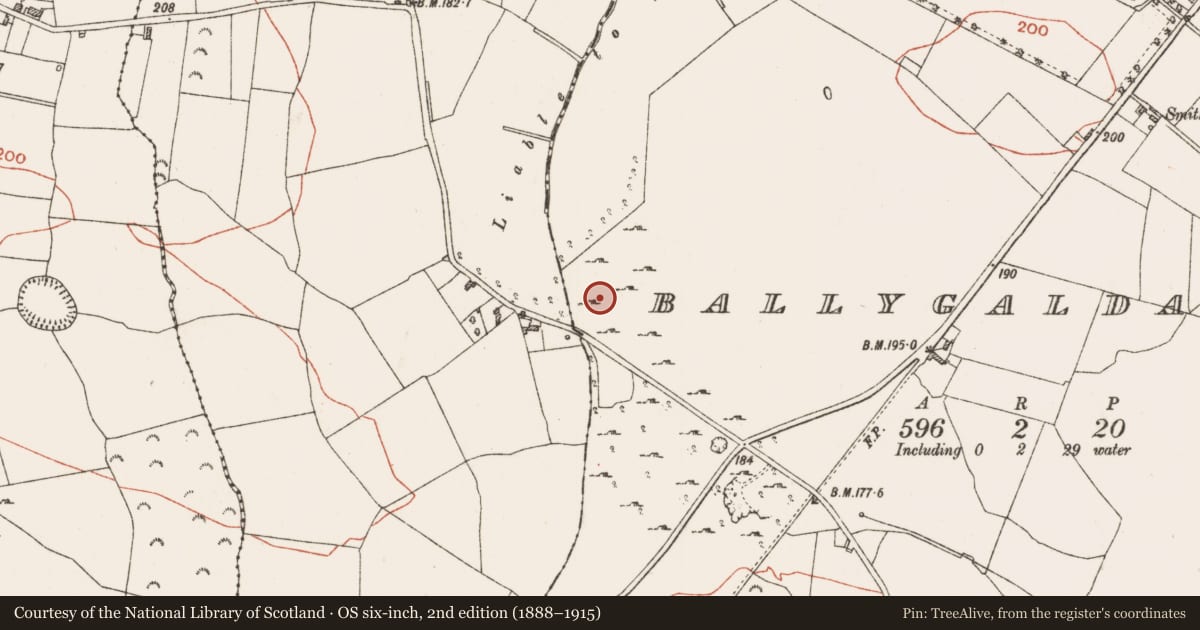 Ordnance Survey six-inch map, 2nd edition (1888–1915) covering the location of Field system, Ballygalda Or Trust, County Roscommon, with a pin at the register's coordinates