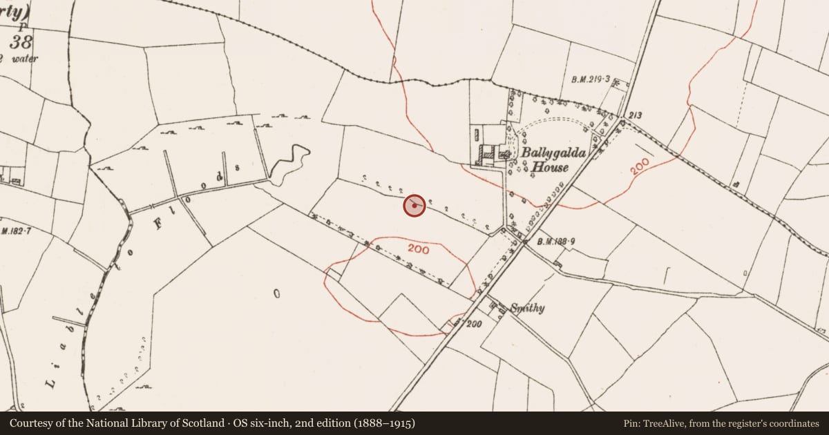 Ordnance Survey six-inch map, 2nd edition (1888–1915) covering the location of Canal, Ballygalda Or Trust, County Roscommon, with a pin at the register's coordinates