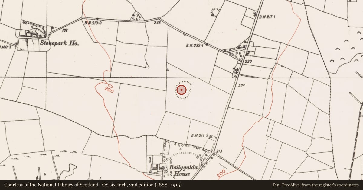 Ordnance Survey six-inch map, 2nd edition (1888–1915) covering the location of Ringfort - rath, Stonepark, County Roscommon, with a pin at the register's coordinates