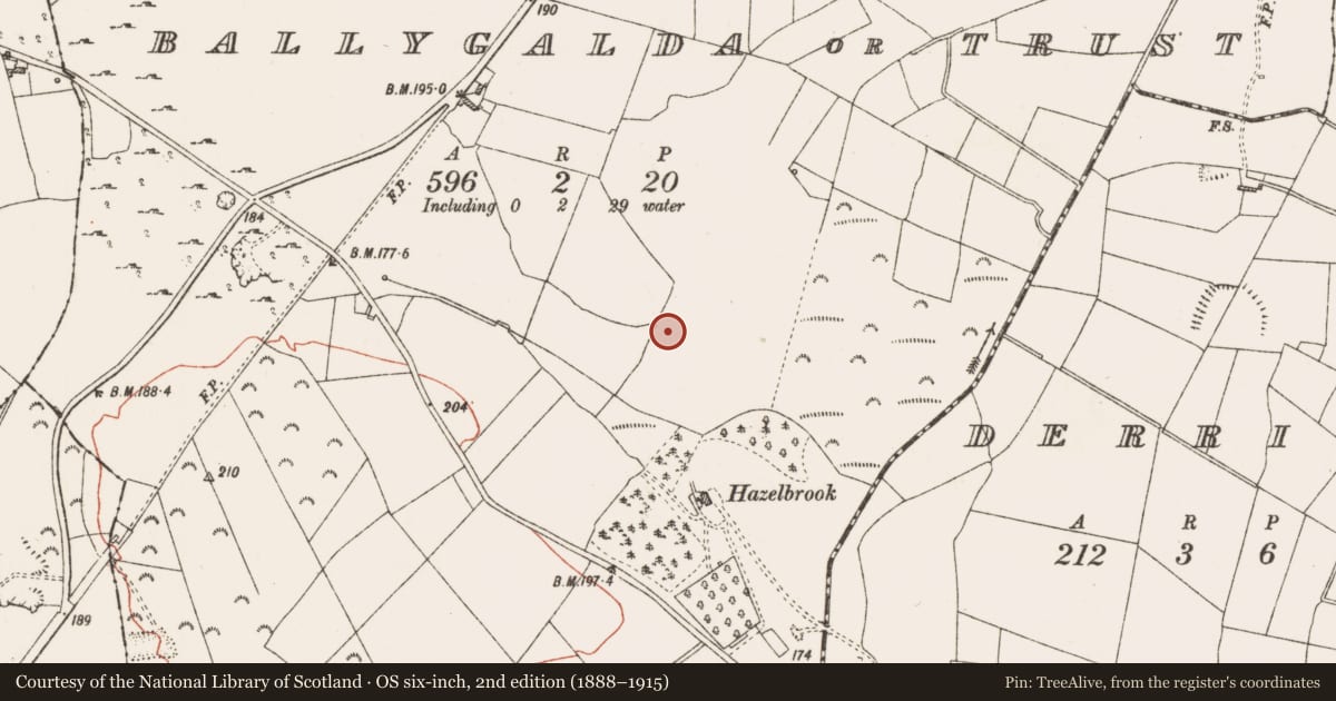 Ordnance Survey six-inch map, 2nd edition (1888–1915) covering the location of Fulacht fia, Ballygalda Or Trust, County Roscommon, with a pin at the register's coordinates