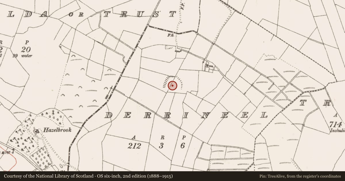 Ordnance Survey six-inch map, 2nd edition (1888–1915) covering the location of Enclosure - large enclosure, Derrineel, County Roscommon, with a pin at the register's coordinates