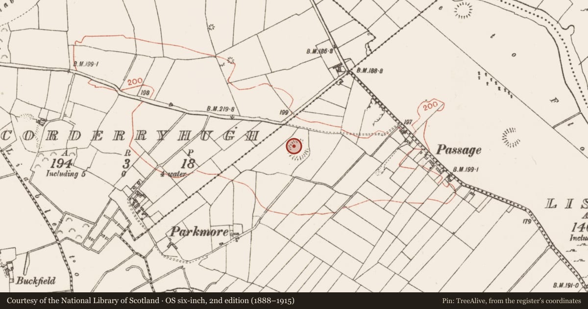 Ordnance Survey six-inch map, 2nd edition (1888–1915) covering the location of Ringfort - rath, Toberavaddy, County Roscommon, with a pin at the register's coordinates