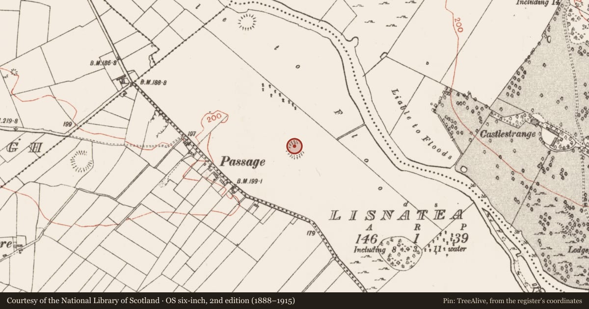 Ordnance Survey six-inch map, 2nd edition (1888–1915) covering the location of Ringfort - rath, Lisnatea, County Roscommon, with a pin at the register's coordinates