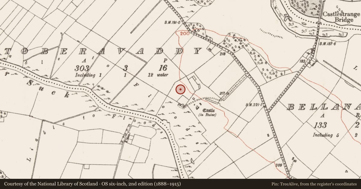Ordnance Survey six-inch map, 2nd edition (1888–1915) covering the location of Walled garden, Toberavaddy, County Roscommon, with a pin at the register's coordinates