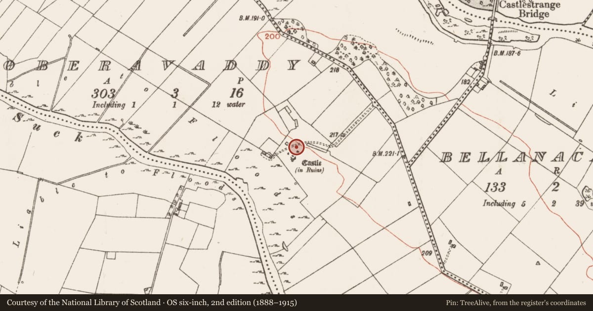 Ordnance Survey six-inch map, 2nd edition (1888–1915) covering the location of Bawn, Toberavaddy, County Roscommon, with a pin at the register's coordinates