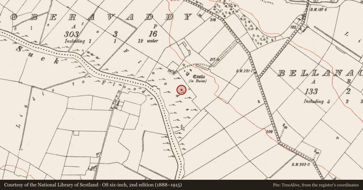 Ordnance Survey six-inch map, 2nd edition (1888–1915) covering the location of Enclosure, Toberavaddy, County Roscommon, with a pin at the register's coordinates