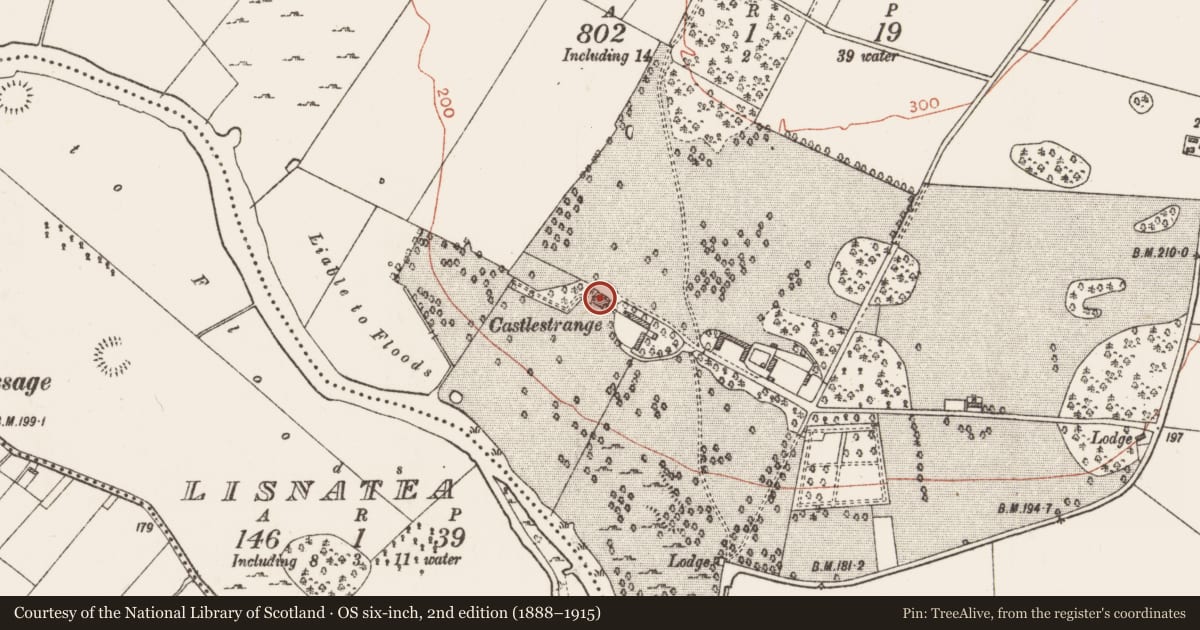 Ordnance Survey six-inch map, 2nd edition (1888–1915) covering the location of House - 18th/19th century, Castlestrange, County Roscommon, with a pin at the register's coordinates