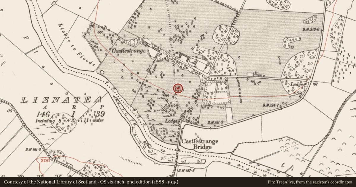 Ordnance Survey six-inch map, 2nd edition (1888–1915) covering the location of Stone sculpture - aniconic, Castlestrange, County Roscommon, with a pin at the register's coordinates
