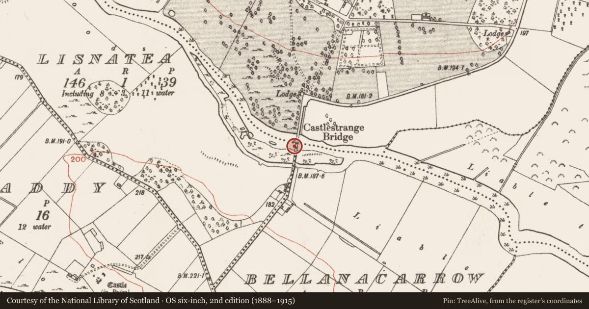 Ordnance Survey six-inch map, 2nd edition (1888–1915) covering the location of Bridge, County Roscommon, with a pin at the register's coordinates