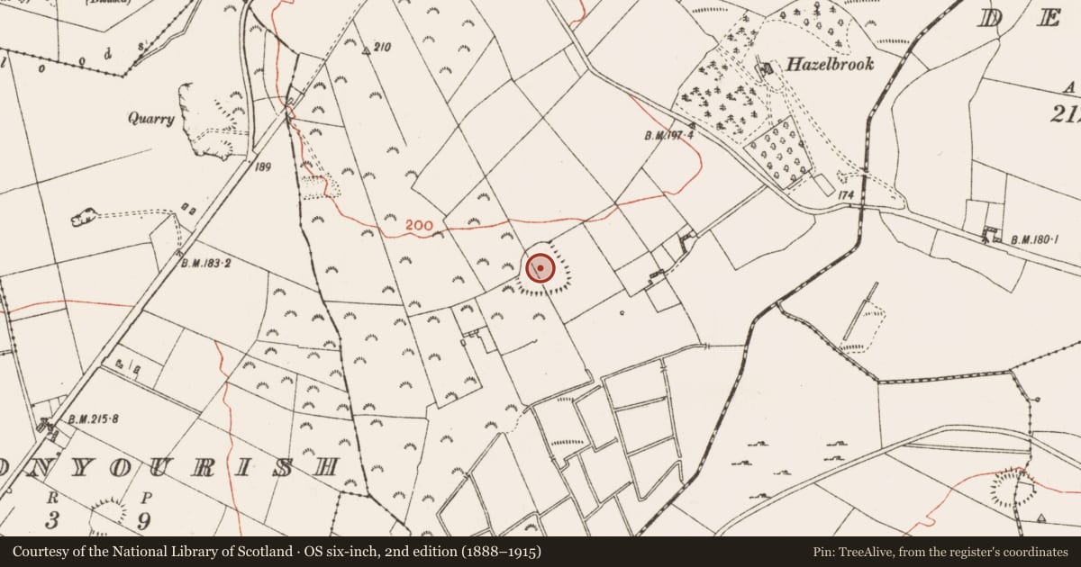 Ordnance Survey six-inch map, 2nd edition (1888–1915) covering the location of Earthwork, Ballygalda Or Trust, County Roscommon, with a pin at the register's coordinates