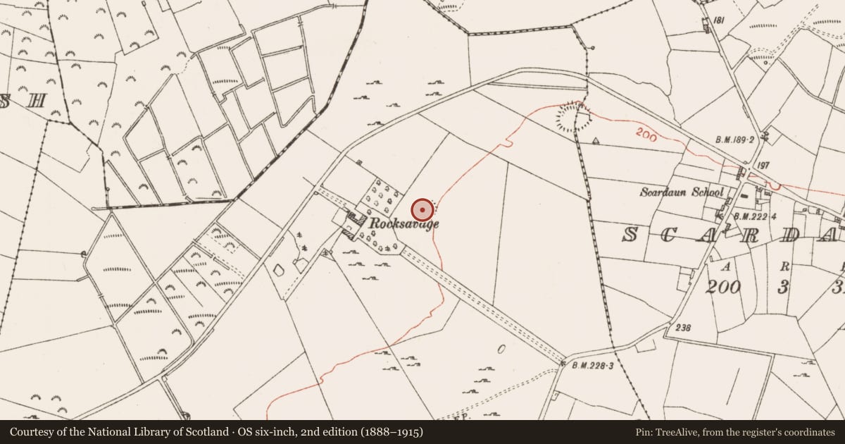 Ordnance Survey six-inch map, 2nd edition (1888–1915) covering the location of Earthwork, Knockadangan, County Roscommon, with a pin at the register's coordinates