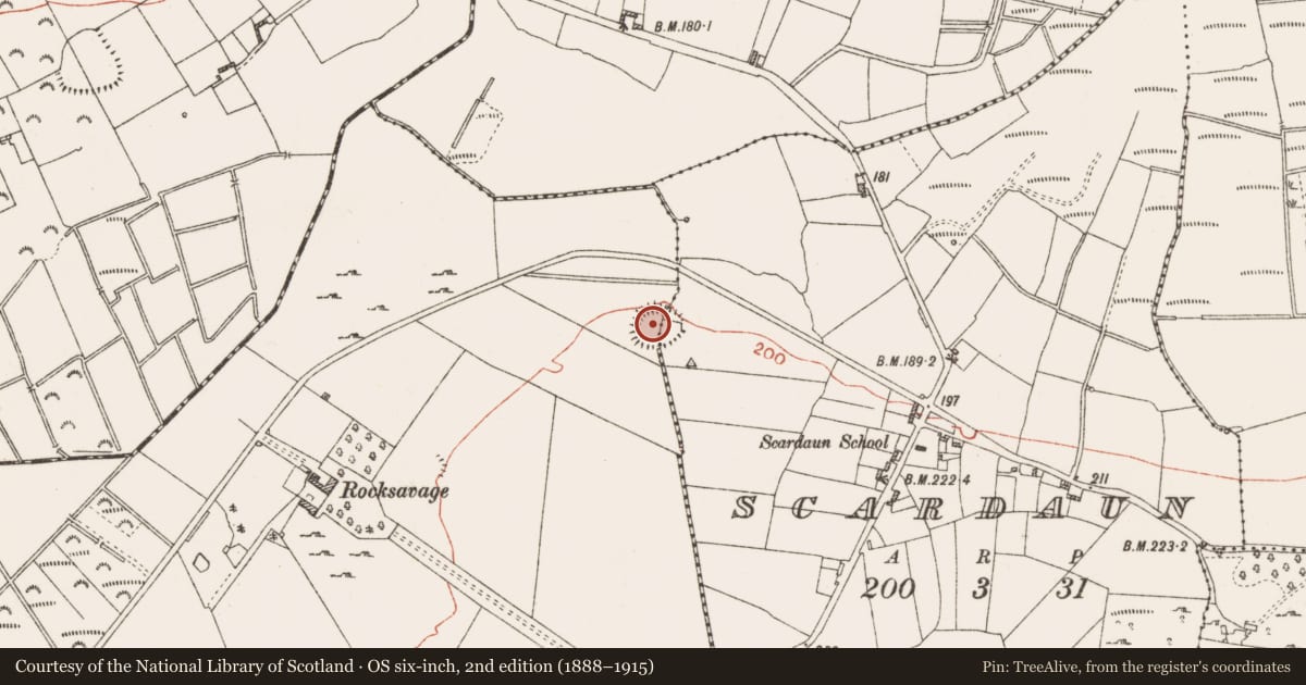 Ordnance Survey six-inch map, 2nd edition (1888–1915) covering the location of Ringfort - rath, Knockadangan, Scardaun, County Roscommon, with a pin at the register's coordinates