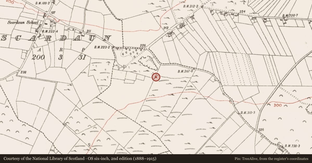 Ordnance Survey six-inch map, 2nd edition (1888–1915) covering the location of Quarry, Knockmeane, County Roscommon, with a pin at the register's coordinates